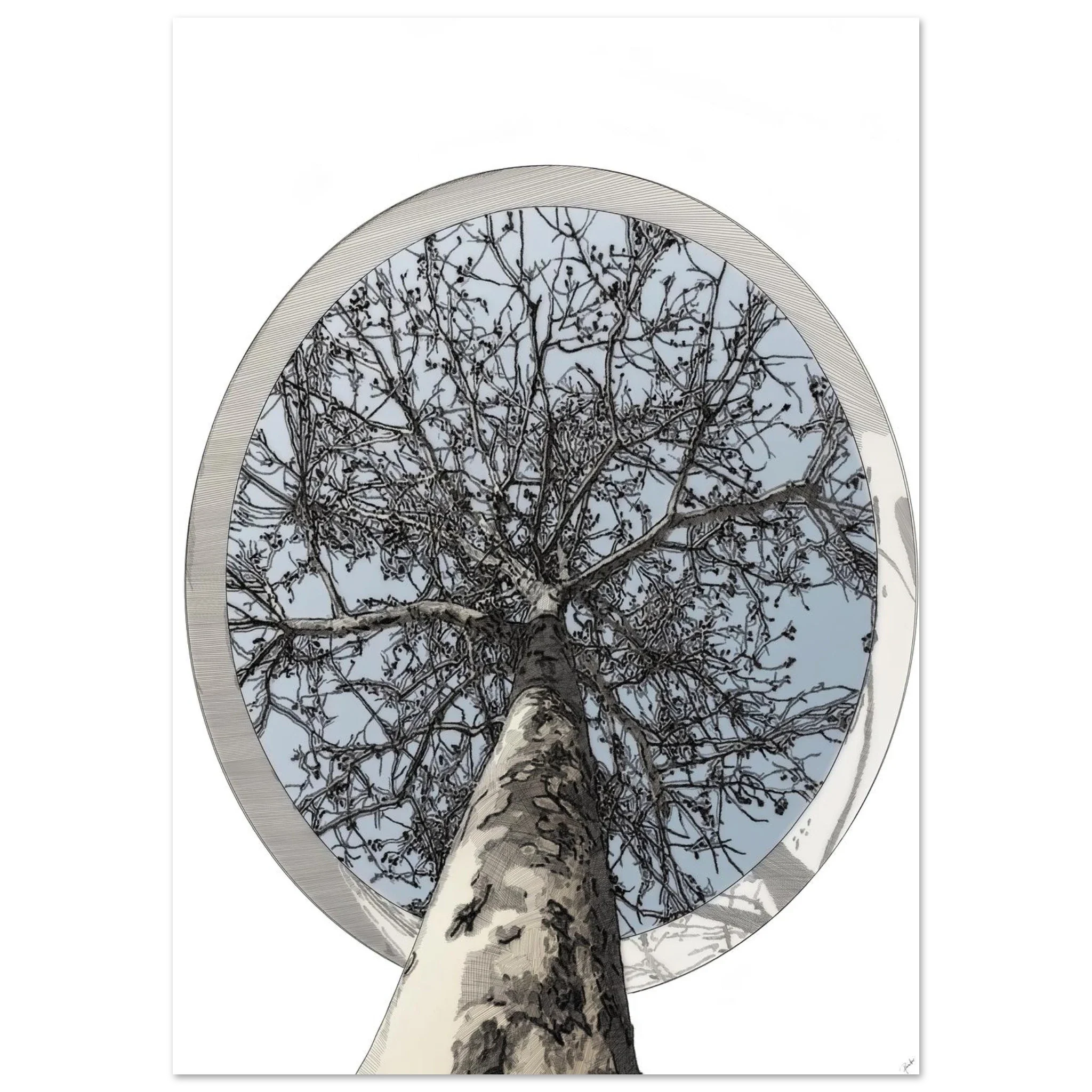 The Sentinel Canopy — cross-hatch illustration of a great tree by Paschar