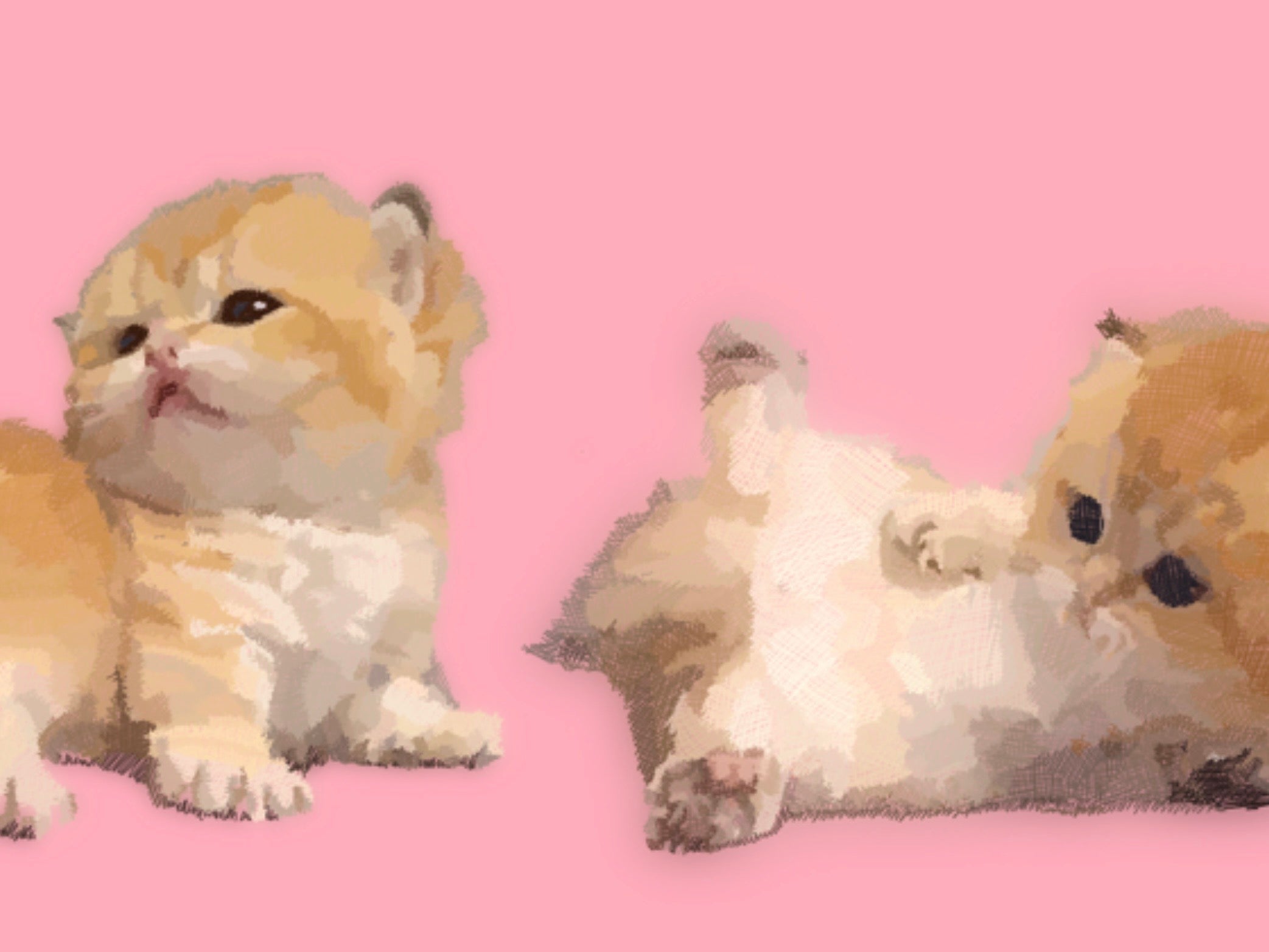 Playful Line — Pink