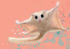 Flight of Freedom — Peach