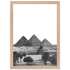 0a01d47f-e7ef-41c4-a129-fdd90b4e9222