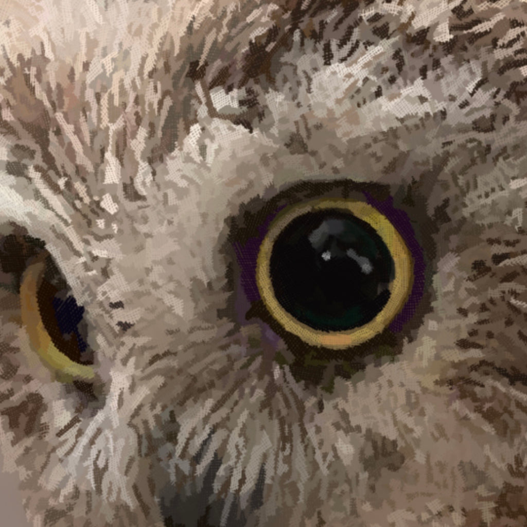 Wise Soul — Purple — Framed