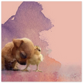 17c7f1cf-4b20-4cc1-905a-930cb46625aa
