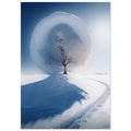 185684a9-c1e3-4e40-979b-2a08d72cfb4c