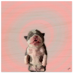1be05d2e-6383-4f4b-ab1b-ce7ae3ddfaf8