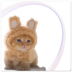1fb4e125-8820-4b85-bead-e41f6fedb7b8