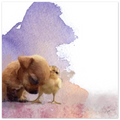 23e94849-4431-4b5e-9a6c-865e16996b9e