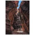 2841417b-a1df-4756-82d1-93ae634fc618