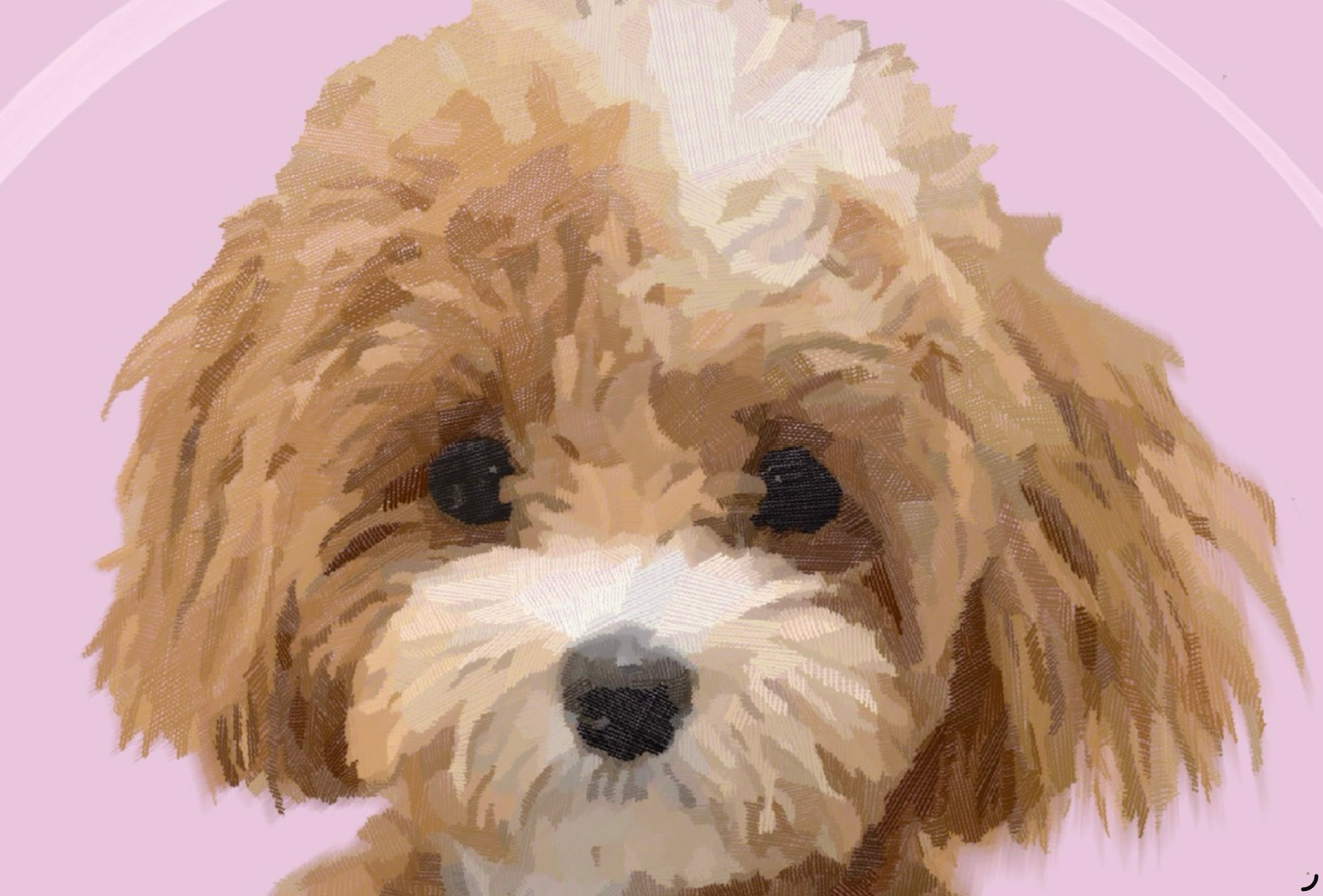 Faithful Friend — Pink