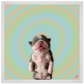 2b2c74b2-a8d1-4758-99b0-89f0b83997b5