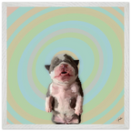 2b2c74b2-a8d1-4758-99b0-89f0b83997b5