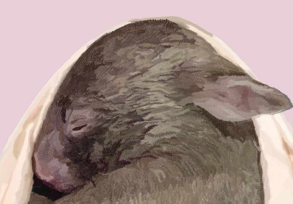 Safe Haven — Pink — Framed