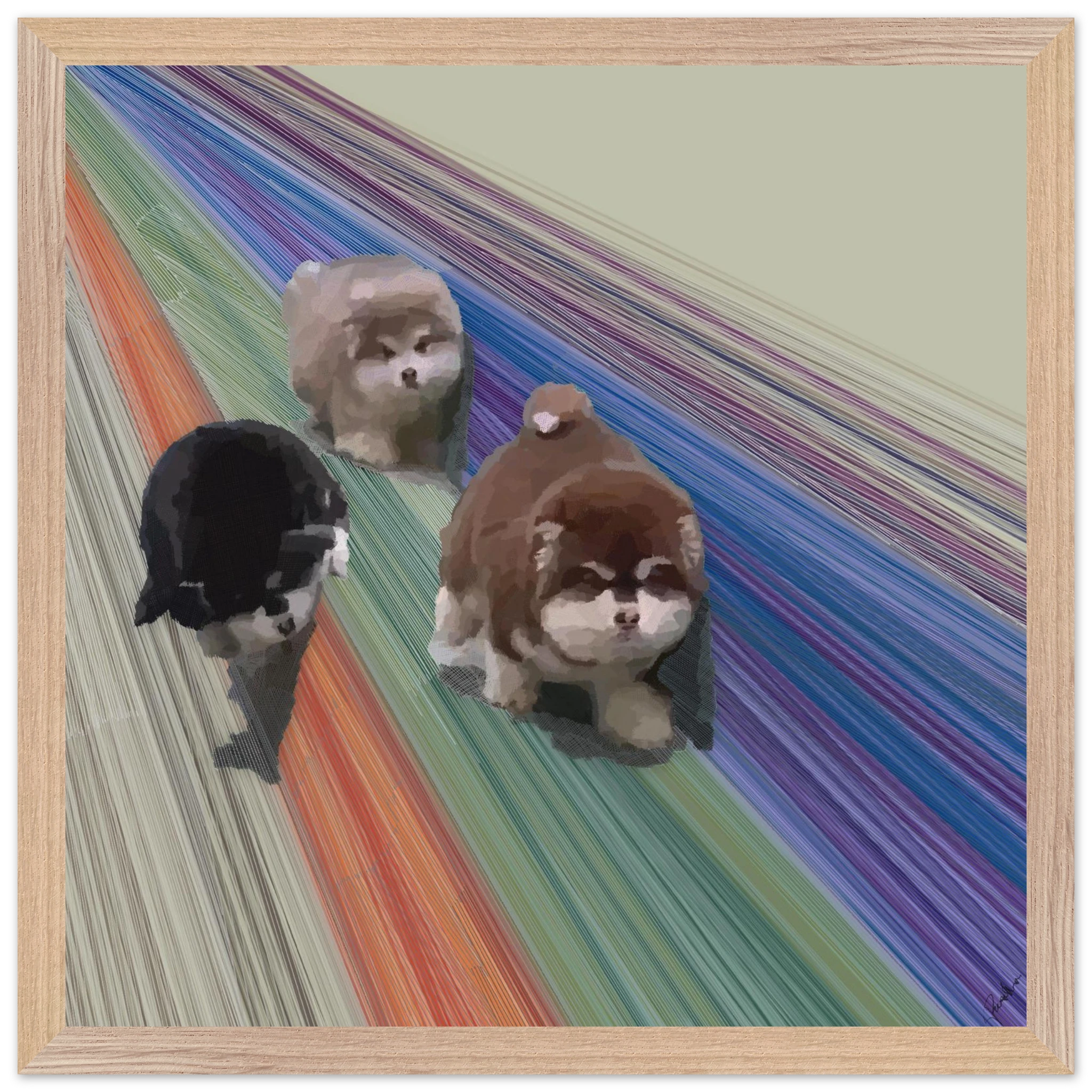 3d51da63-bd3a-4d65-884f-9d01f5d6307b