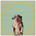 479cf666-f240-4a0f-b28c-60656aaadbff