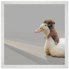 47ae7f74-d744-444d-9aed-425ce918d96b