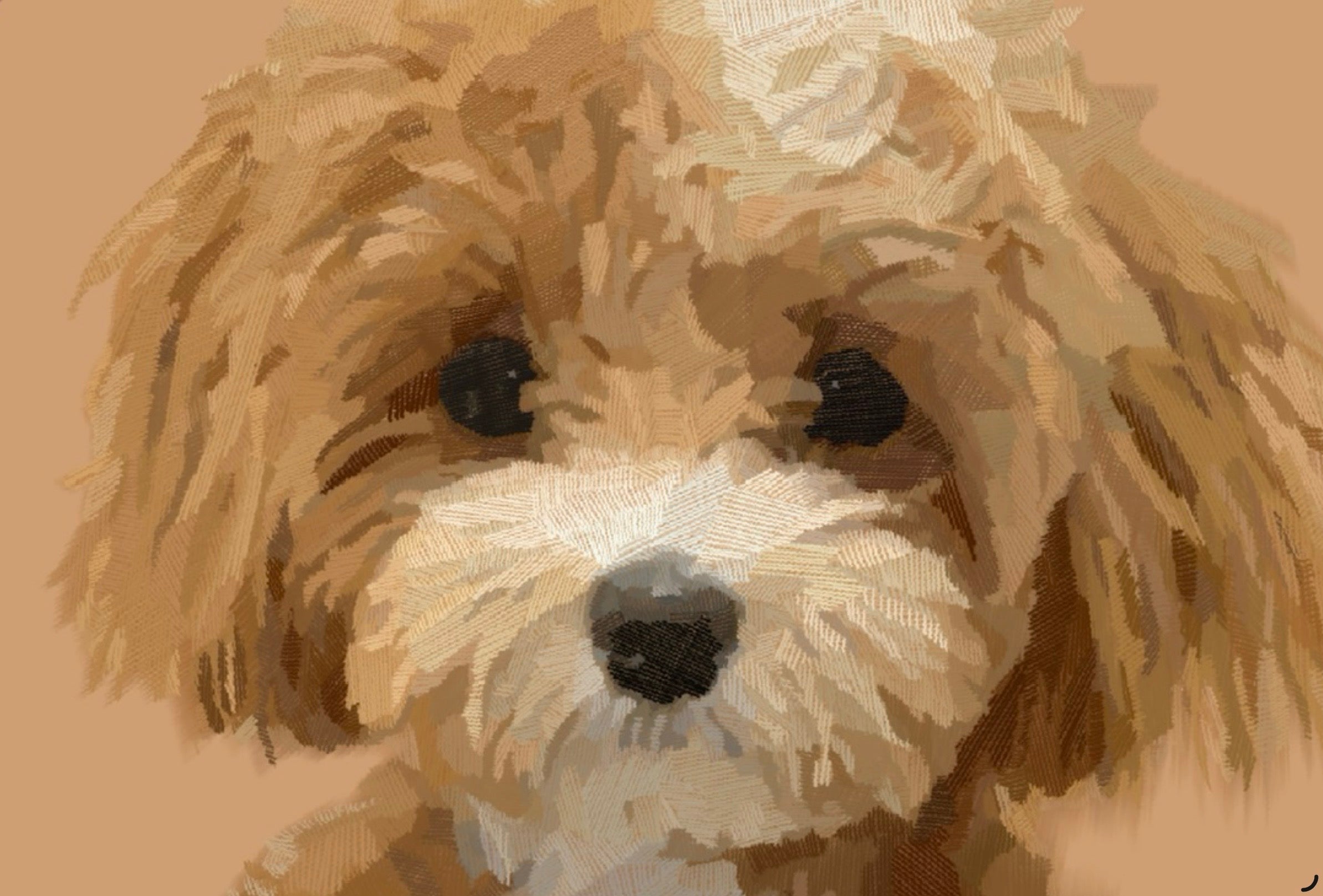Faithful Friend — Coffee