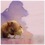 5a3ce4c9-c3a8-4661-b641-bf69ca48b35c