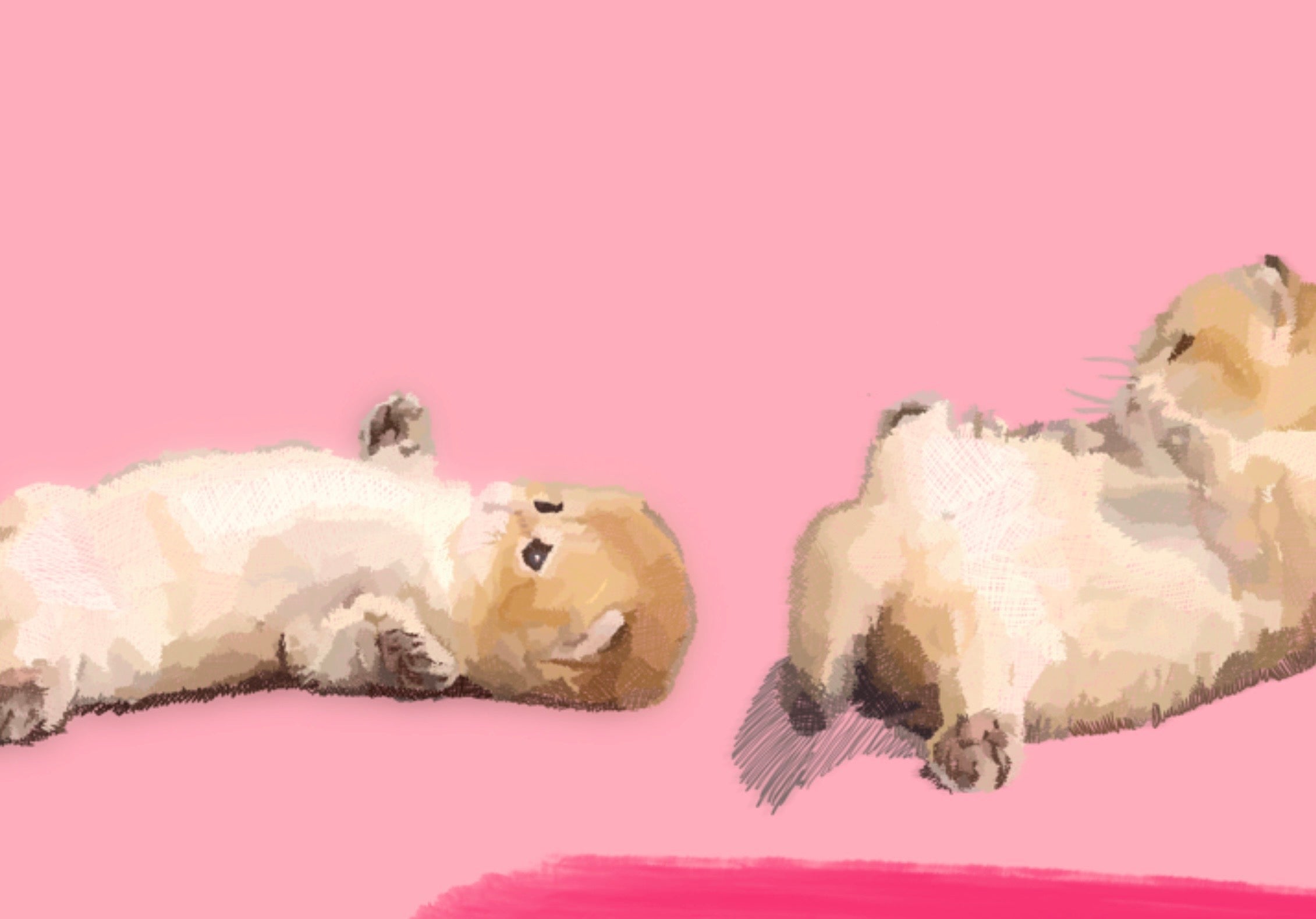 Playful Line — Pink