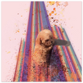 837f1196-bc29-4f56-a6ad-7bb068cee988