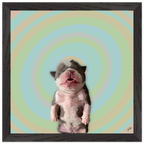 870950b2-49cf-4225-a686-fa2ec7bd1250