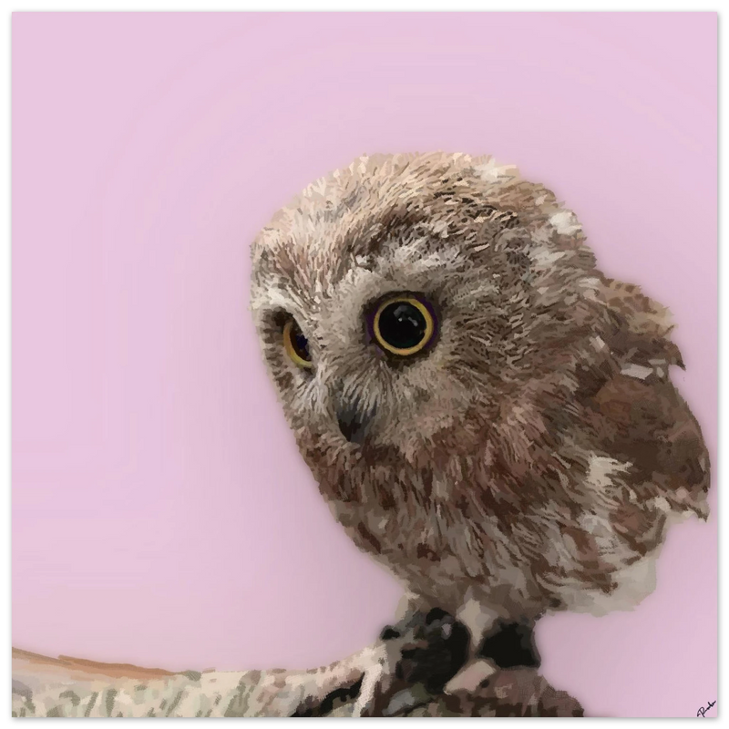 87e36841-2320-41e7-8fc8-1745f5107ce6