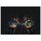 887567bc-2d3d-4435-8a8b-68f85101e6da