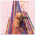 8d153a5a-9983-4e75-b34f-9417e4a831eb