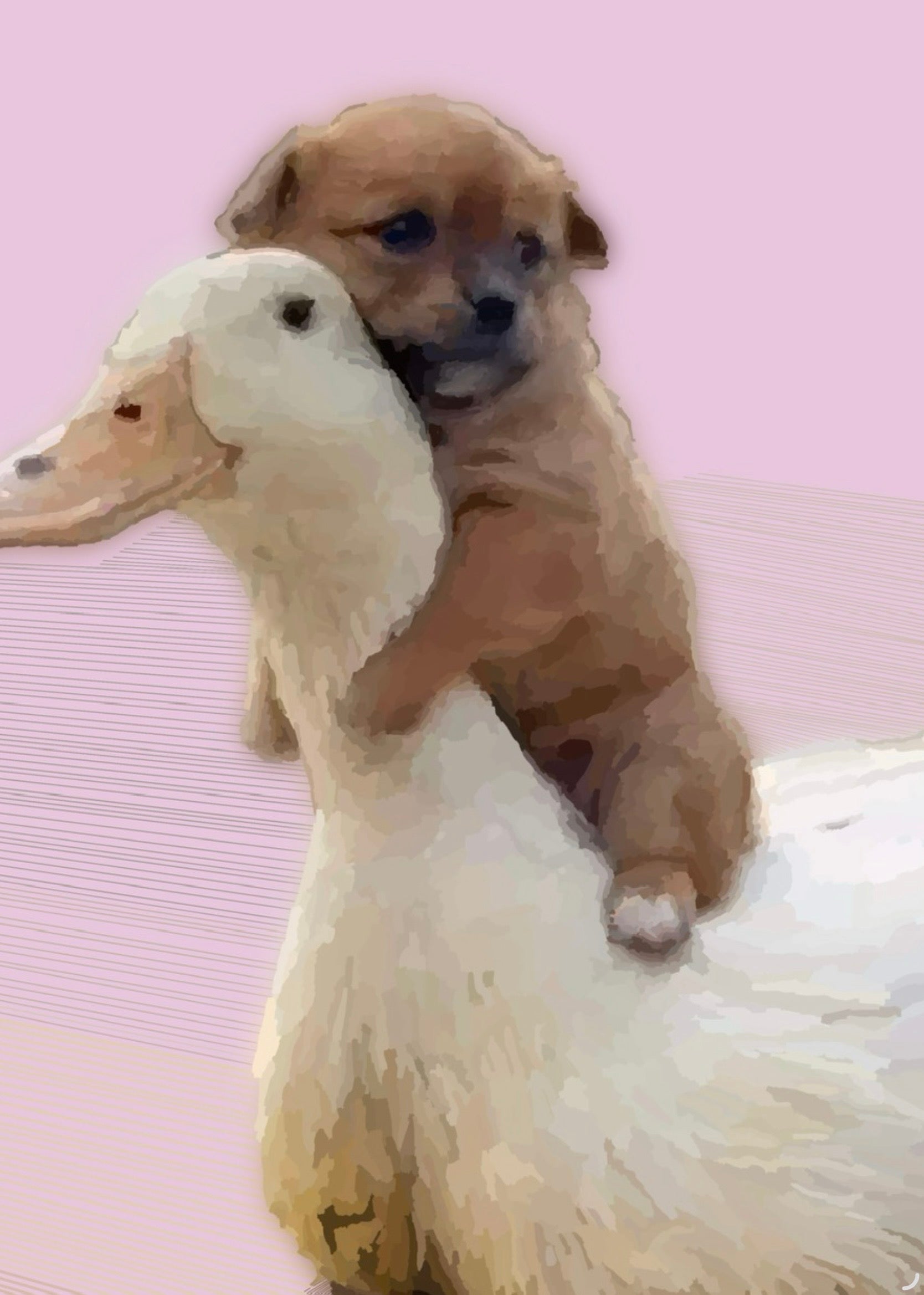 Journey Together — Pink