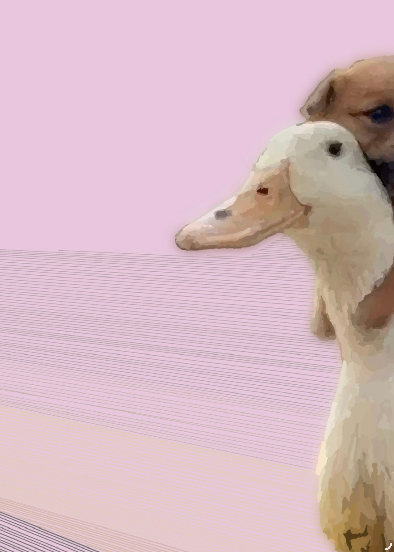 Journey Together — Pink