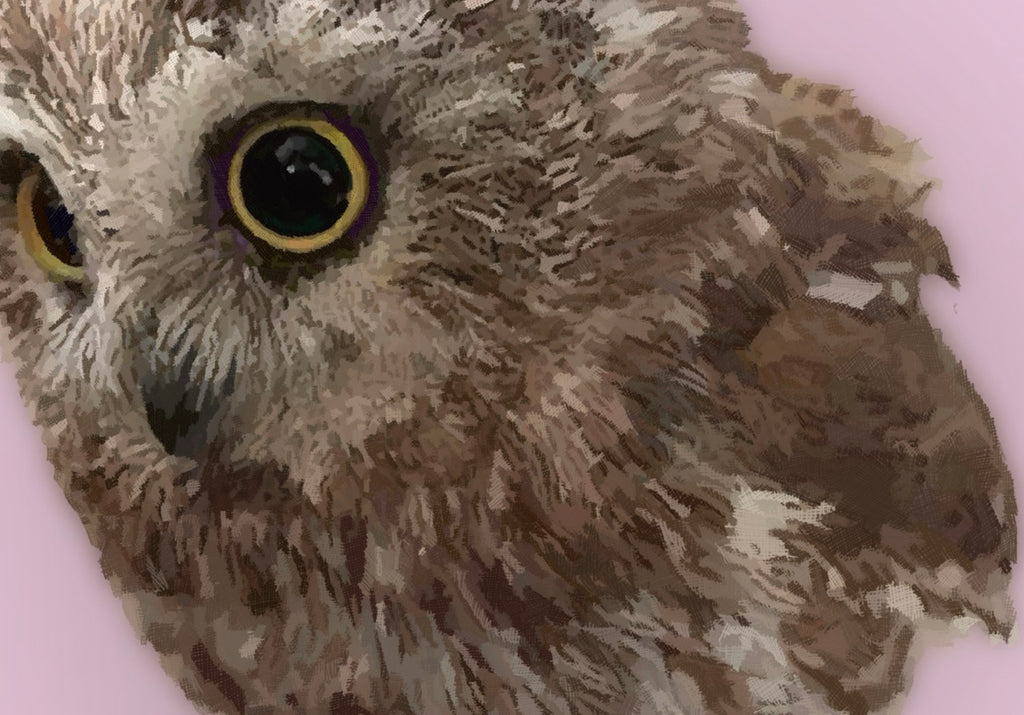 Wise Soul — Pink