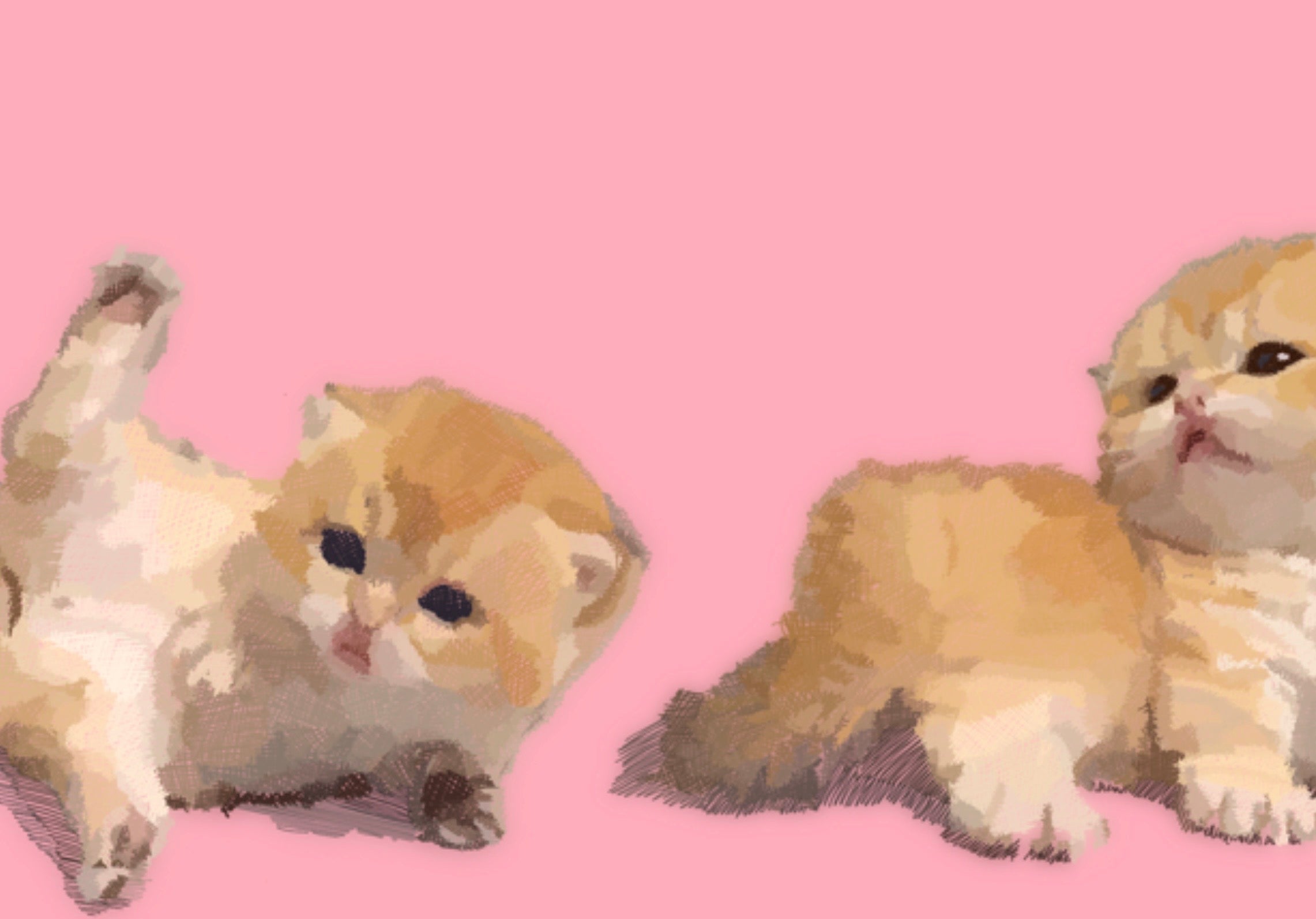Playful Line — Pink