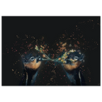 a2b844ab-0971-4f4b-9634-d7403a183626