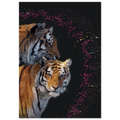a3253281-f70f-4c61-a468-48d5456f56f6