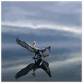 c6b4e5b9-1003-4ba7-a526-e617e7d954c9