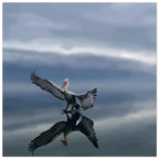 c6b4e5b9-1003-4ba7-a526-e617e7d954c9