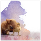 c873b031-36ad-4937-9e2e-461e726fc240