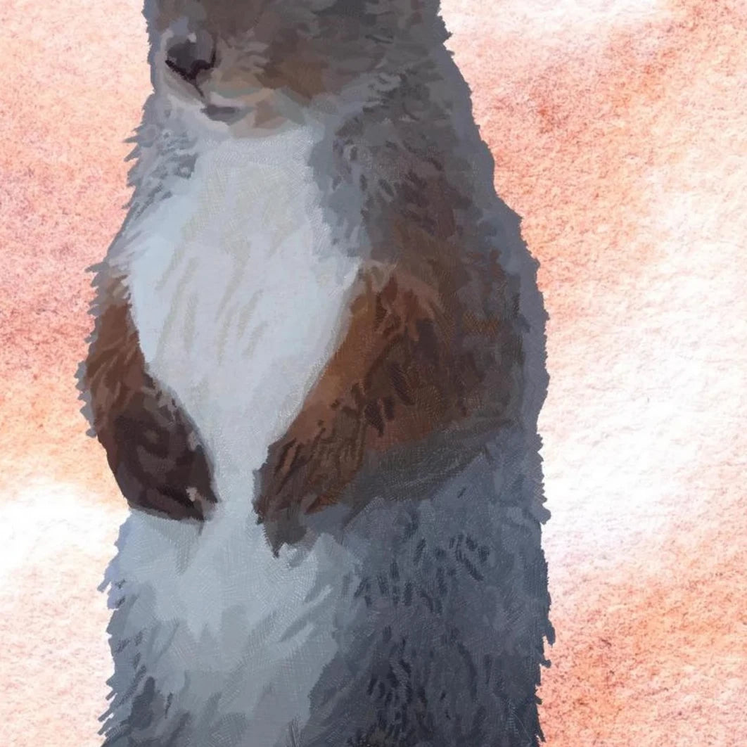 Curious Scout