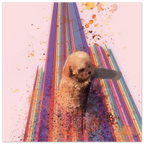 d420f3c6-78b9-4e74-af26-cbdc70dff369