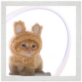 d7f4db2d-3eb1-4f38-8a0d-ebeb00bb1b17
