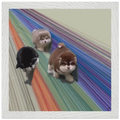 d8714bd3-b6b7-4ea2-bdbf-c0e75cbd6132