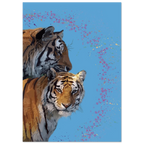 dbe720eb-6f87-47c5-9c8f-93e970cc6814