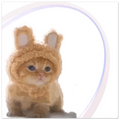 e76c33f0-9e89-462f-84ce-93a82f14c072